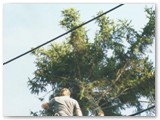 Pruning trees around power lines.
